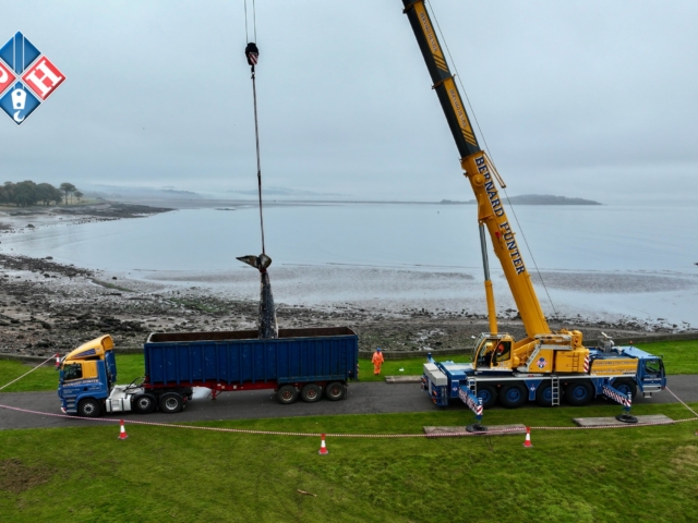 dji_fly_20241003_074524_0481_1727937355995_photo